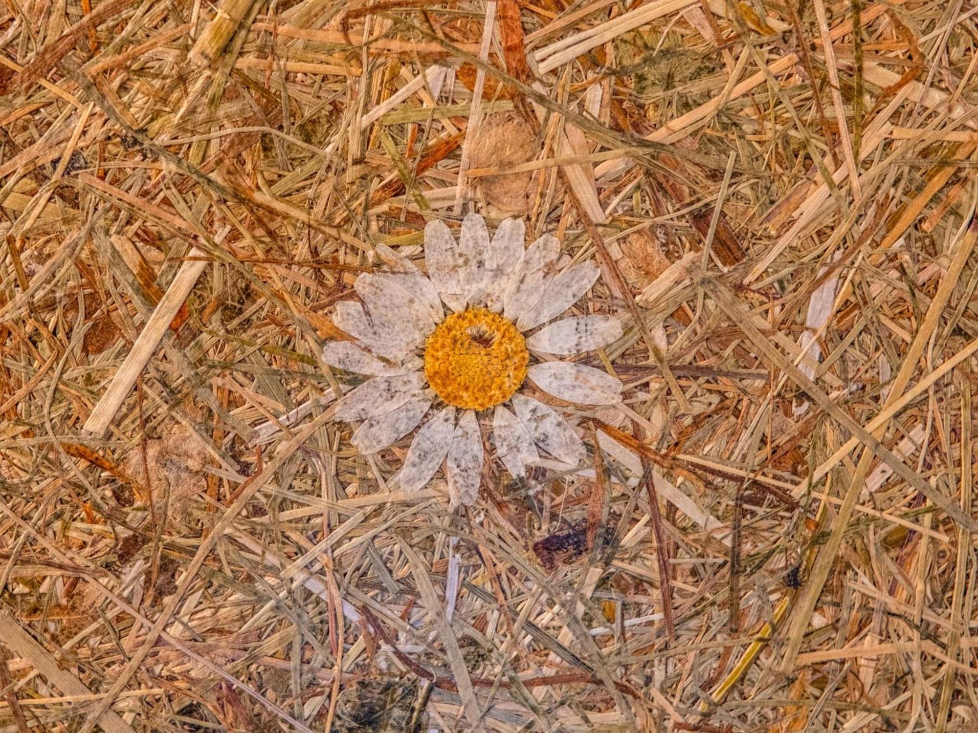 Ich Rocke Lägenhet Hopfgarten im Brixental Exteriör bild